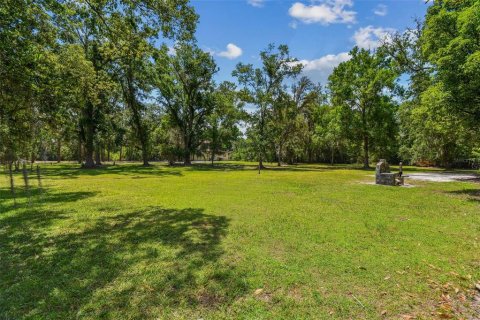 Land in Lutz, Florida № 1757842 - photo 7