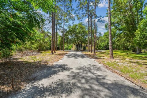 Land in Lutz, Florida № 1757842 - photo 5
