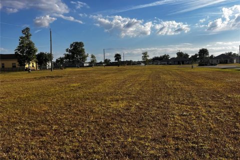 Land in Punta Gorda, Florida № 2122803 - photo 9