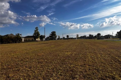 Land in Punta Gorda, Florida № 2122803 - photo 7
