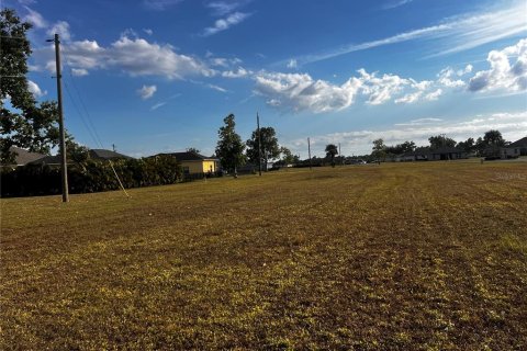 Land in Punta Gorda, Florida № 2122803 - photo 2