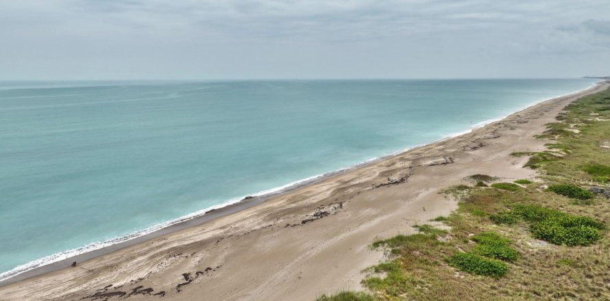 Condo à Fort Pierce, Floride, 1 chambre  № 1180110