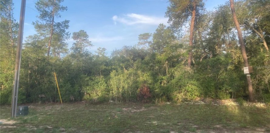 Land in Ocala, Florida № 2199039