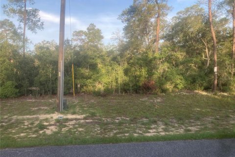 Land in Ocala, Florida № 2199039 - photo 3