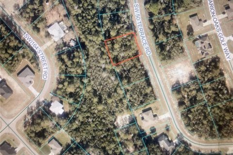 Land in Ocala, Florida № 2199039 - photo 4
