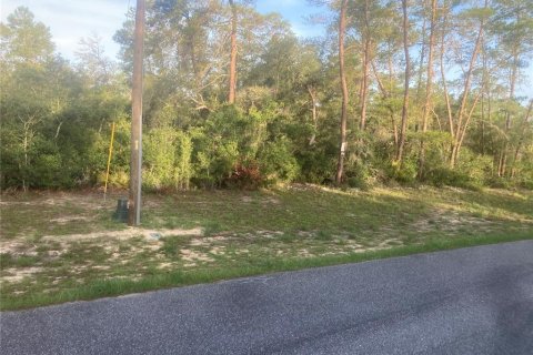 Land in Ocala, Florida № 2199039 - photo 2