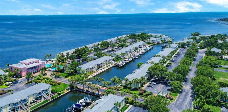 Condo in Saint Petersburg, Florida, 2 bedrooms  № 2202487