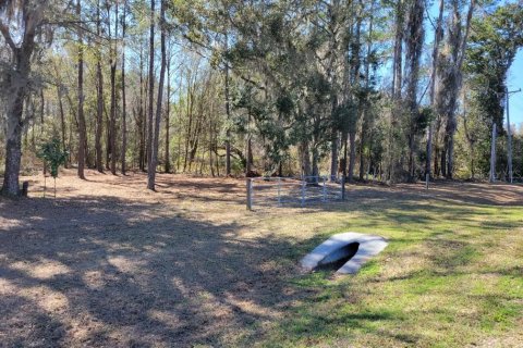 Terrain à Gainesville, Floride № 2161520