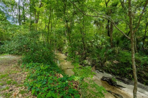 Condo in Gainesville, Florida, 1 bedroom  № 1250903 - photo 26