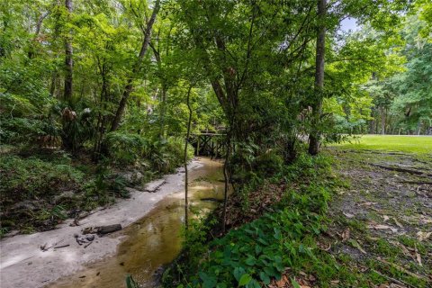 Condo in Gainesville, Florida, 1 bedroom  № 1250903 - photo 25