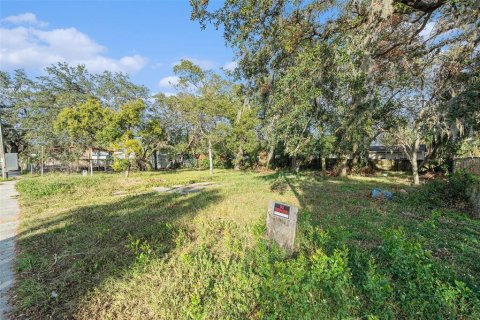 Terreno en venta en Tampa, Florida № 2143217 - foto 3