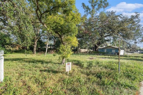 Terreno en Tampa, Florida № 2143217