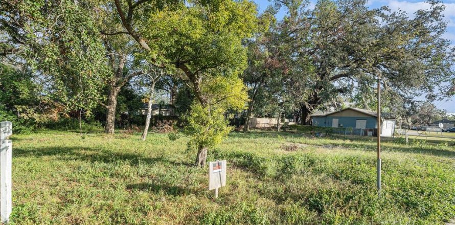 Terreno en Tampa, Florida № 2143217