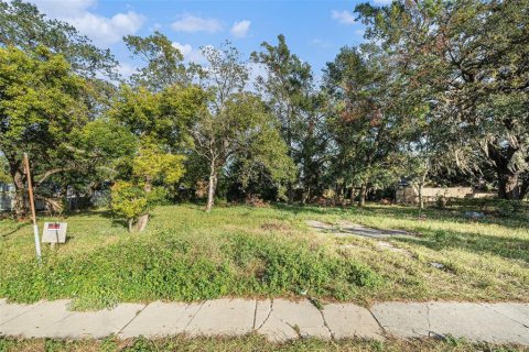 Terreno en venta en Tampa, Florida № 2143217 - foto 5