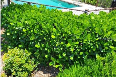Condominio en alquiler en Nokomis, Florida, 2 dormitorios, 138.7 m2 № 1870641 - foto 2