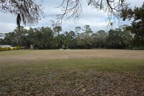 Terrain à Sarasota, Floride № 2125709