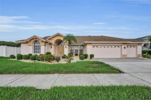 House in New Port Richey, Florida 4 bedrooms, 214.42 sq.m. № 2217543