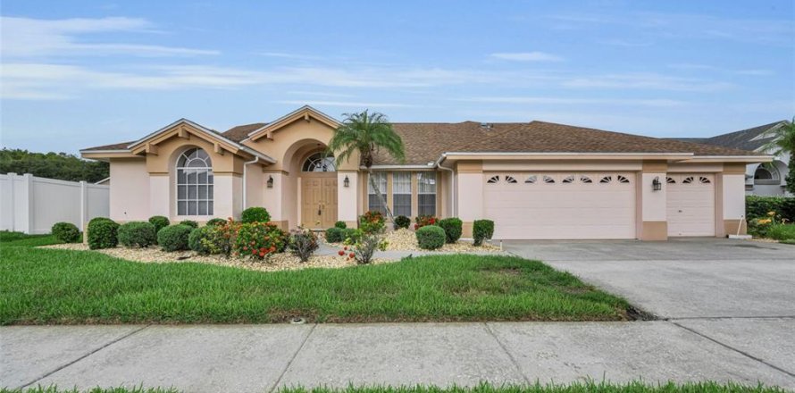 House in New Port Richey, Florida 4 bedrooms, 214.42 sq.m. № 2217543