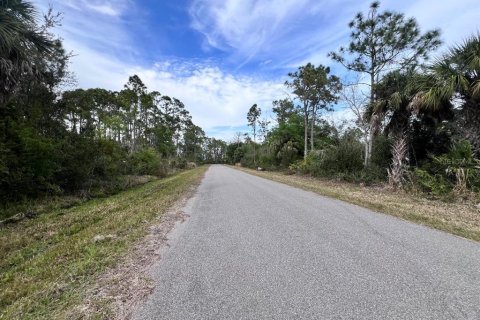 Land in Port Charlotte, Florida № 2403424 - photo 2