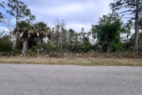 Land in Port Charlotte, Florida № 2403424