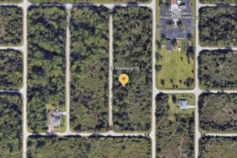 Land in Port Charlotte, Florida № 2403424 - photo 3