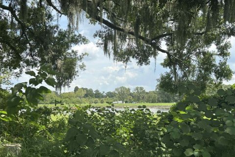 Terreno en venta en Tampa, Florida № 1912468 - foto 7