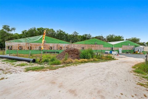 Terreno en venta en Lake Wales, Florida № 2214276 - foto 5
