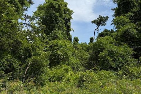 Land in Satsuma, Florida № 2159723 - photo 2
