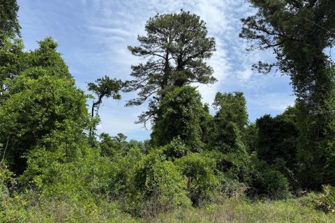 Land in Satsuma, Florida № 2159723