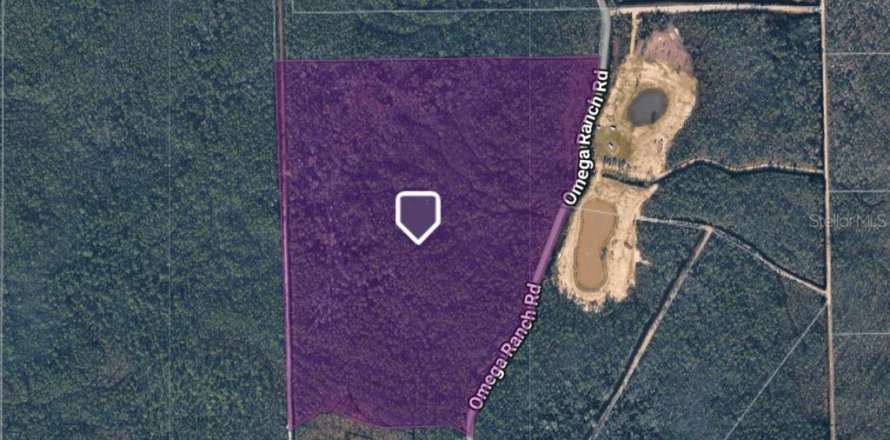 Land in New Smyrna Beach, Florida № 2109593