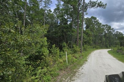 Land in New Smyrna Beach, Florida № 2109593 - photo 10