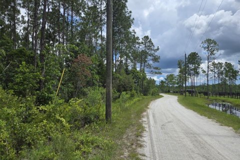 Land in New Smyrna Beach, Florida № 2109593 - photo 3