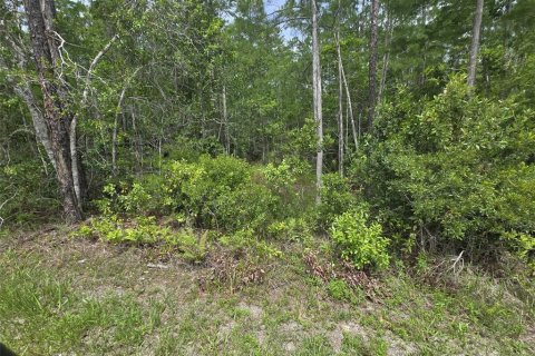 Land in New Smyrna Beach, Florida № 2109593 - photo 7