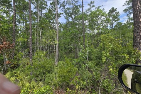 Land in New Smyrna Beach, Florida № 2109593 - photo 4