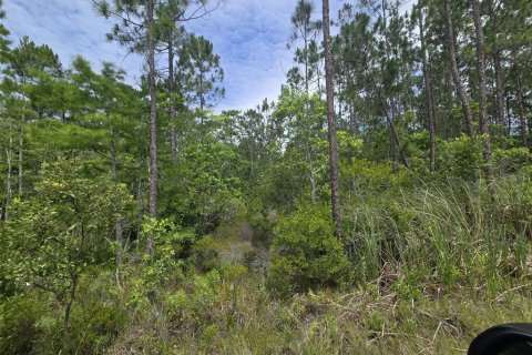 Land in New Smyrna Beach, Florida № 2109593 - photo 6