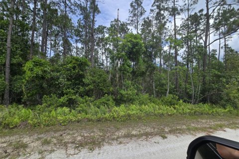 Land in New Smyrna Beach, Florida № 2109593 - photo 8