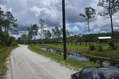 Land in New Smyrna Beach, Florida № 2109593 - photo 2