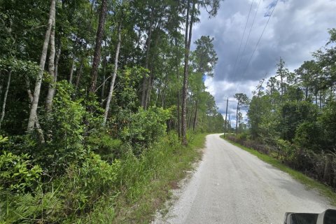Land in New Smyrna Beach, Florida № 2109593 - photo 5