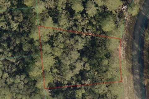 Terreno en Ocala, Florida № 2164831