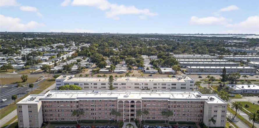 Condo à Saint Petersburg, Floride, 2 chambres № 2166325