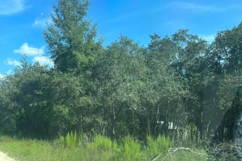 Land in Williston, Florida № 2158738 - photo 2