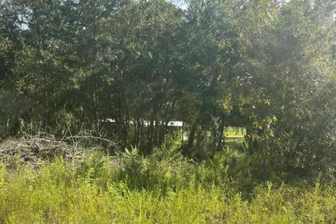 Land in Williston, Florida № 2158738 - photo 3