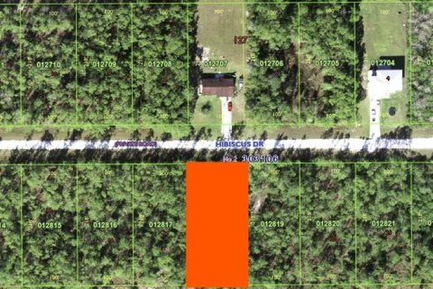 Terreno en venta en Indian lake estates, Florida № 2206355 - foto 4