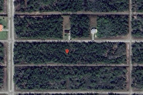 Terreno en venta en Indian lake estates, Florida № 2206355 - foto 2