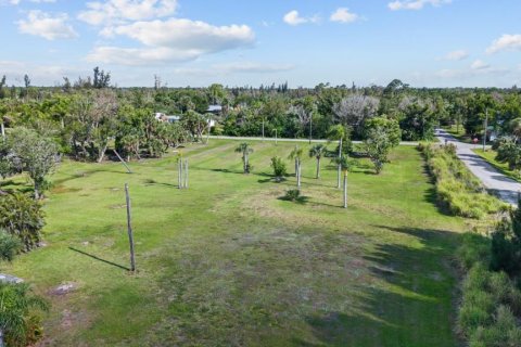Terrain à vendre à Punta Gorda, Floride № 2195176 - photo 14