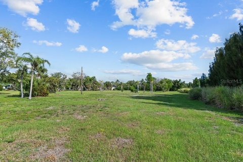Terrain à vendre à Punta Gorda, Floride № 2195176 - photo 30