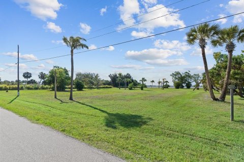 Terrain à vendre à Punta Gorda, Floride № 2195176 - photo 17