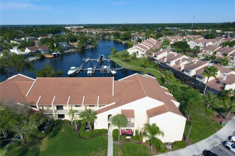 Condominio en alquiler en Tampa, Florida, 3 dormitorios, 154.96 m2 № 1876931 - foto 3