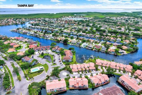 Condominio en alquiler en Tampa, Florida, 3 dormitorios, 154.96 m2 № 1876931 - foto 1