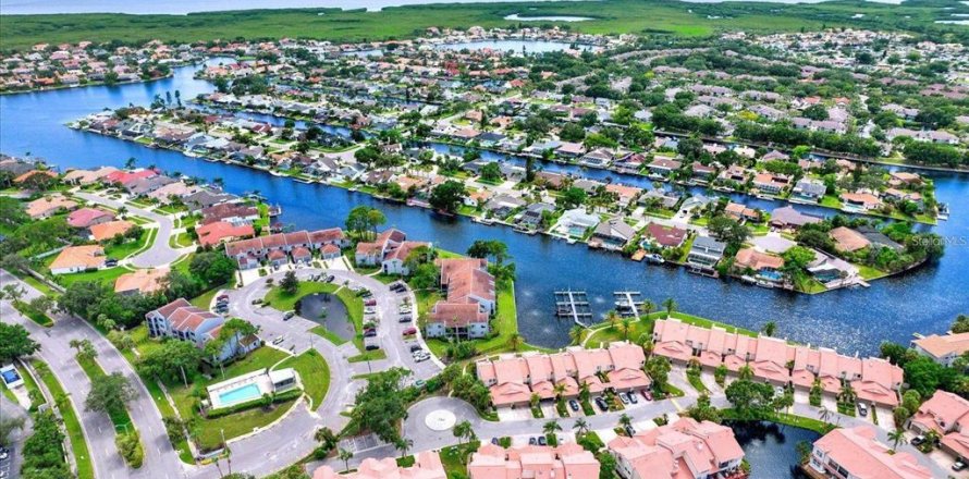 Condo à Tampa, Floride, 3 chambres № 1876931